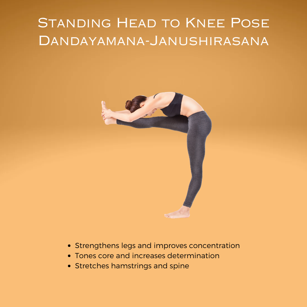 Standing Head to Knee Pose Dandayamana-Janushirasana