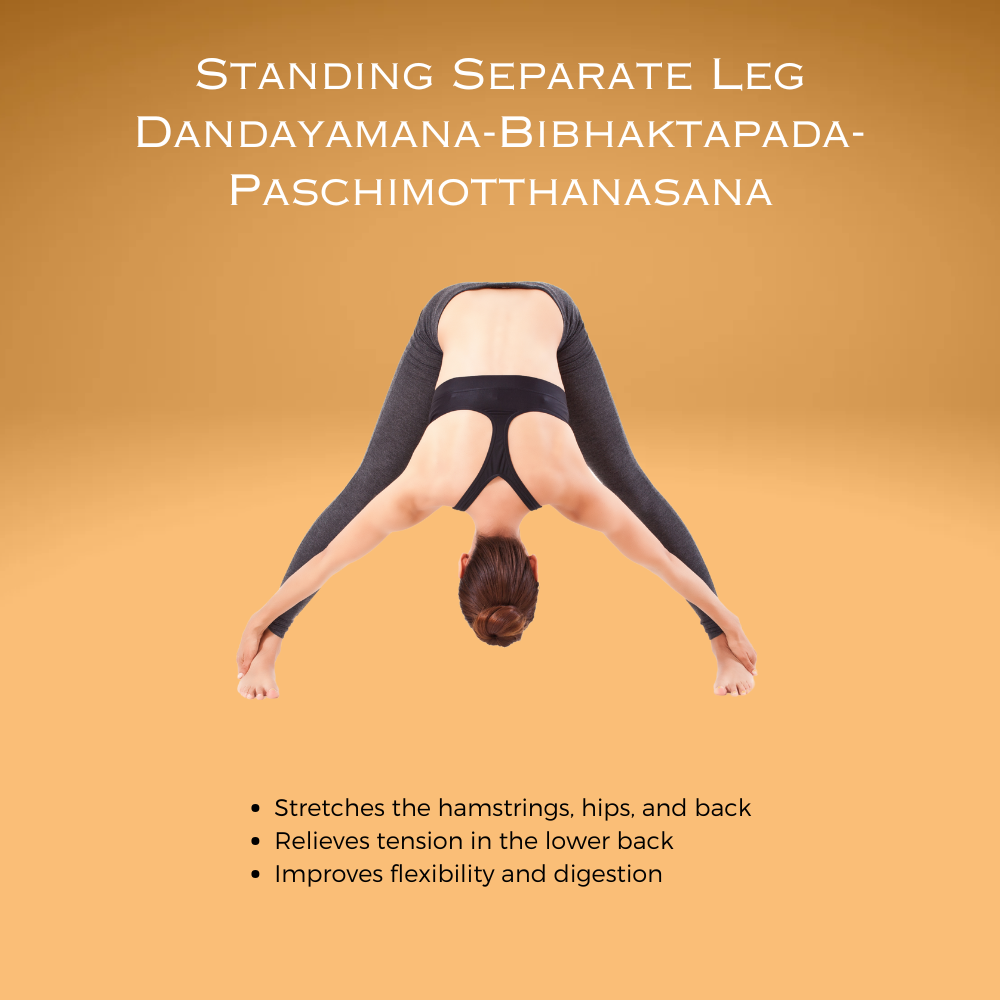 Standing Separate Leg Dandayamana-Bibhaktapada-Paschimotthanasana