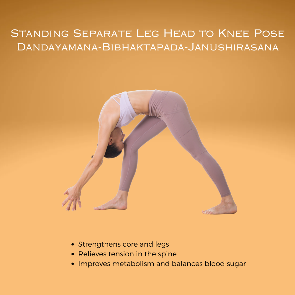 Standing Separate Leg Head to Knee Pose Dandayamana-Bibhaktapada-Janushirasana