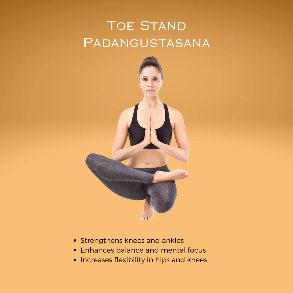 Toe Stand Padangustasana