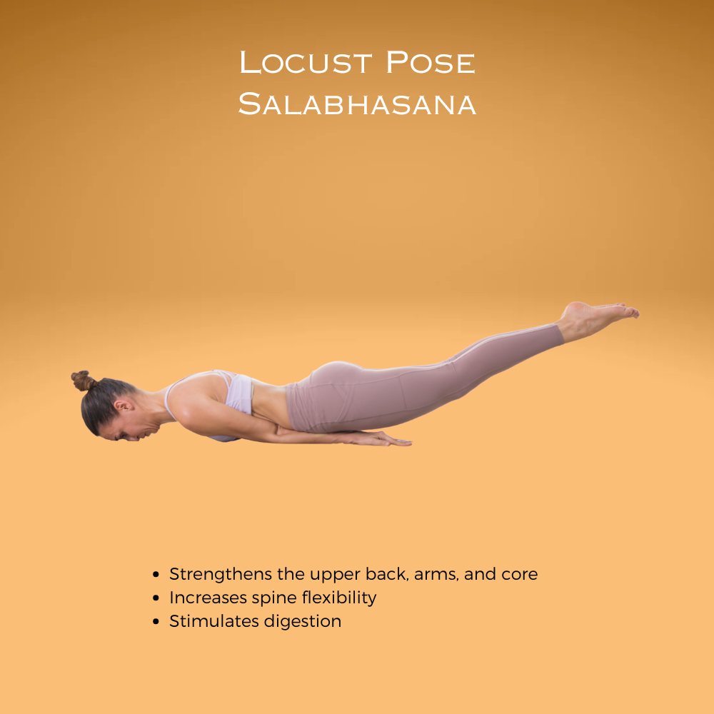 Locust Pose ~ Salabhasana