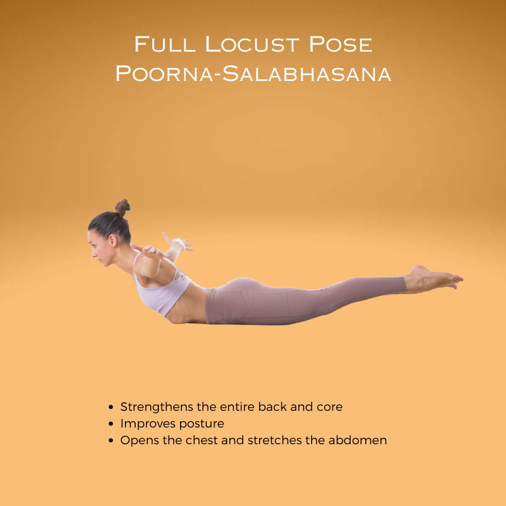 Full Locust Pose ~ Poorna-Salabhasana