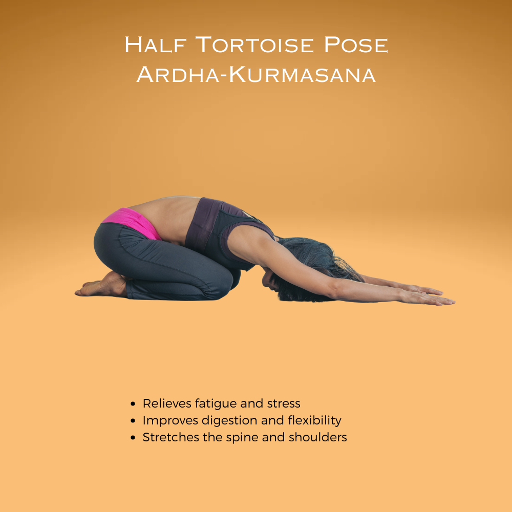 Half Tortoise Pose ~ Ardha-Kurmasana