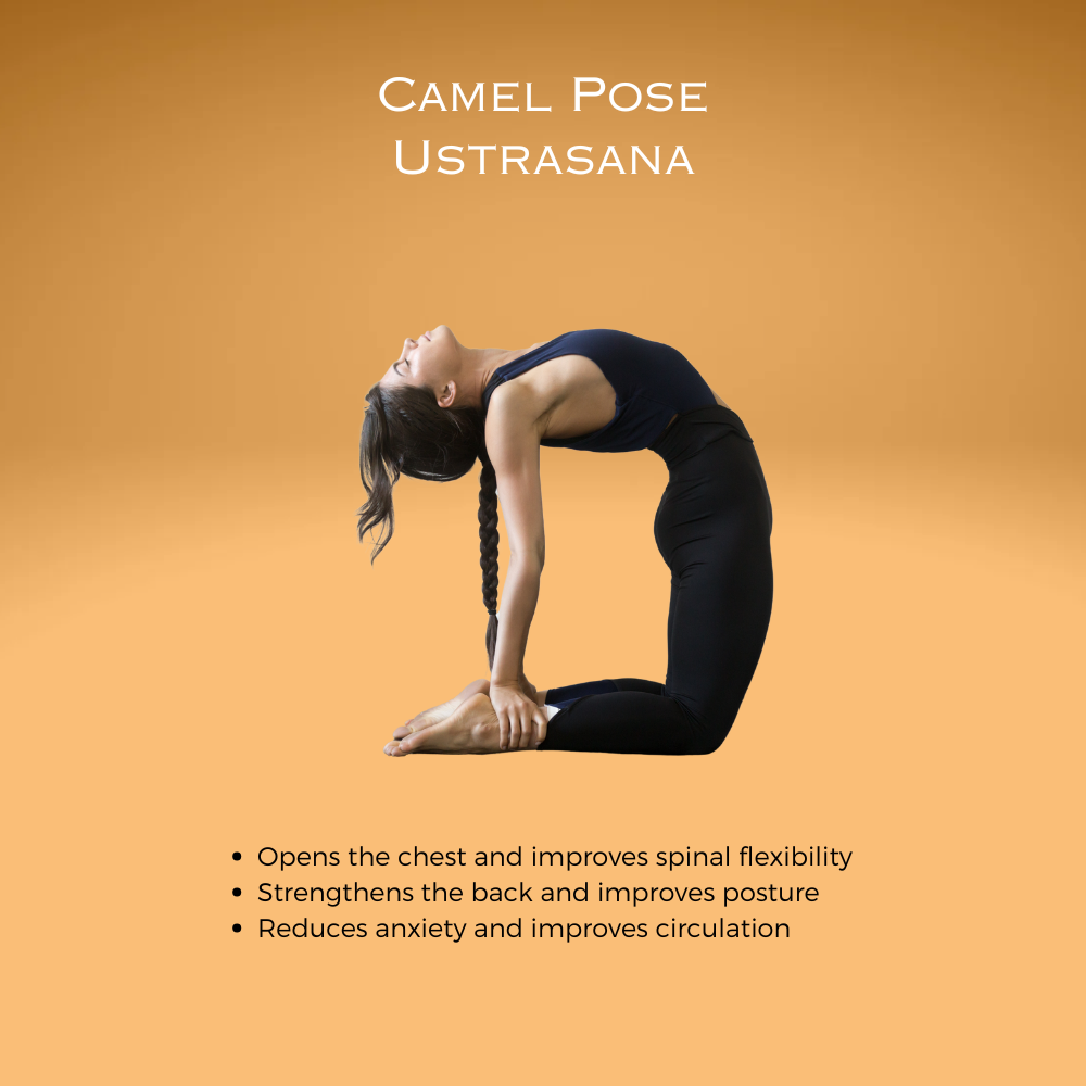 Camel Pose ~ Ustrasana