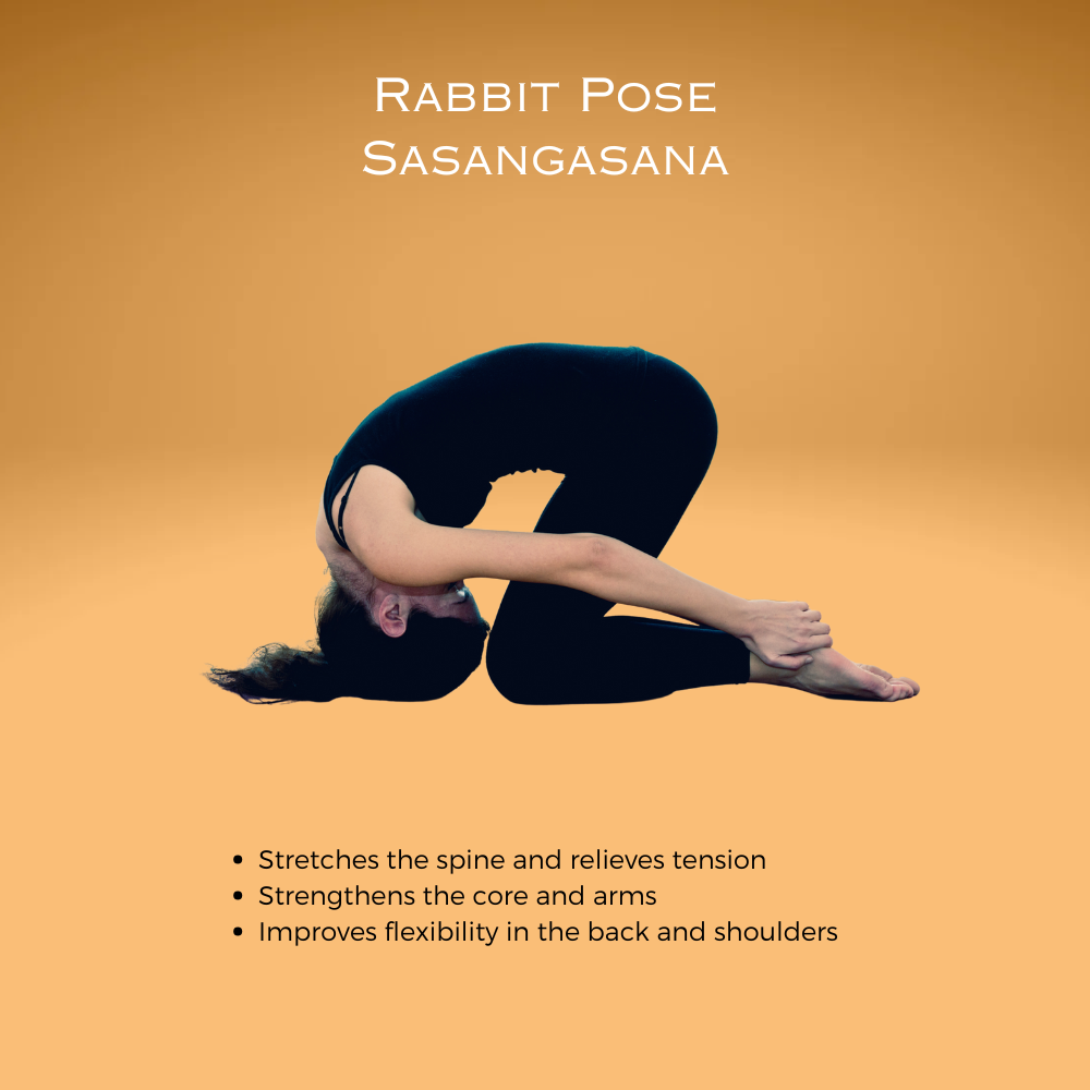 Rabbit Pose ~ Sasangasana