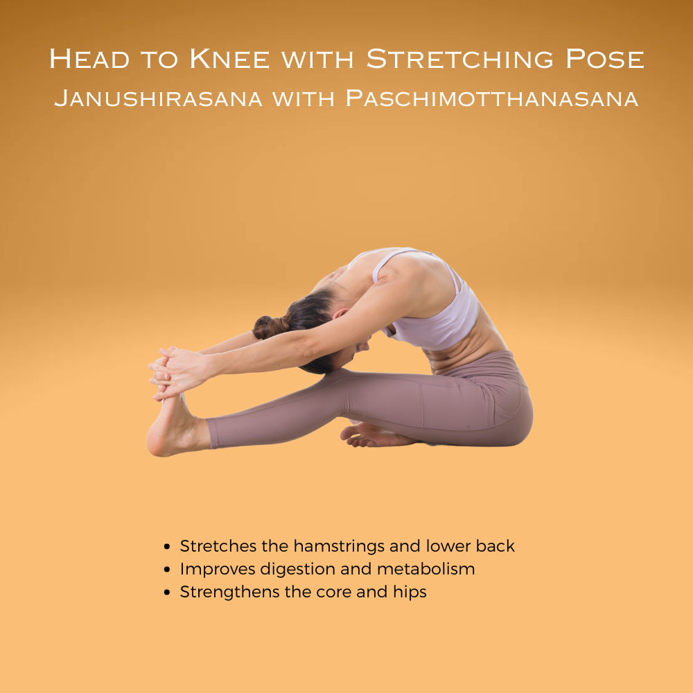 Head to Knee with Stretching Pose ~ Janushirasana with Paschimotthanasana